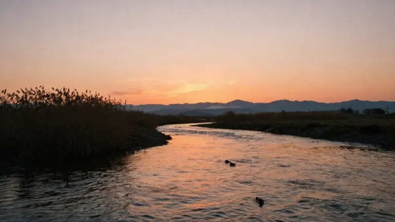 A river and reed beds at dusk